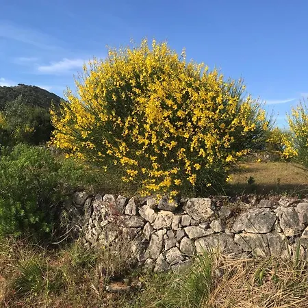 Feriehus Casa Adele 2 Per In Semplicita E Relax In Prossimita Di Sperlonga Itri